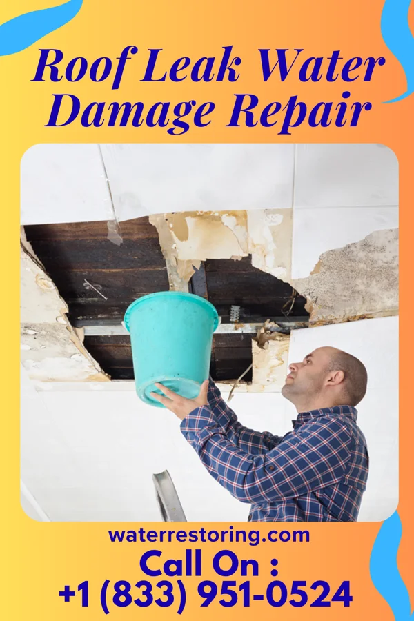 Roof Leak Water Damage Repair in Whitesburg, KY