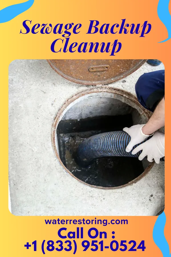 Sewage Backup Cleanup in Whitesburg, KY